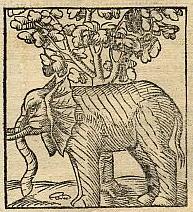 elephant and bodhi tree